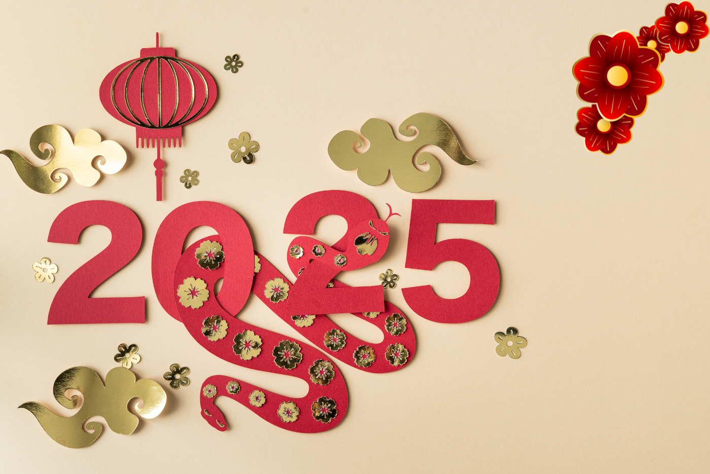 what does the snake symbolize in chinese new year